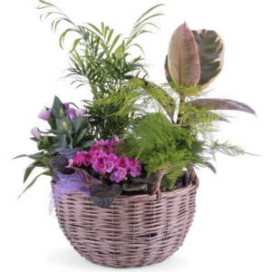 cesta de mimbre con plantas de temporada