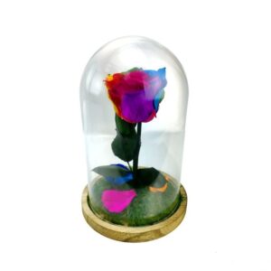 cúpula de cristal con rosa eterna multicolor