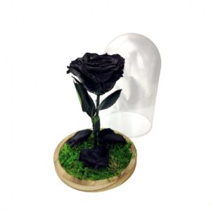 rosa eterna preservada negra en cupula de cristal