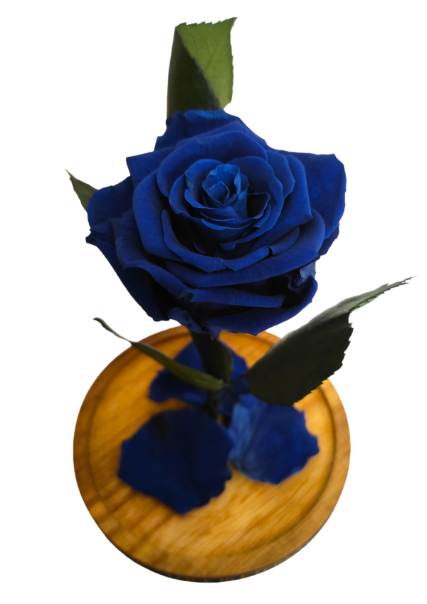 cúpula azul imagen flor