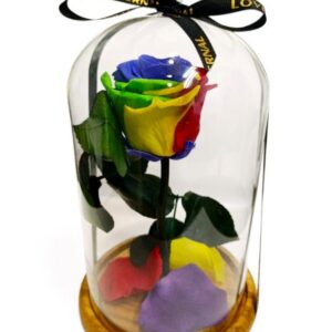 cúpla con rosa preservada multicolor