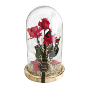 imagen de cupula-de-cristal-con-3-rosas-rojas-y-luz-led