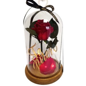 Cúpula Grande con Rosa Eterna Roja +Led "TE QUIERO"